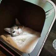 ヒメ日記 2026/01/08 02:05 投稿 紅蘭（くらん） 熟女の風俗最終章 大宮店