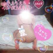 ヒメ日記 2026/02/10 17:35 投稿 紅蘭（くらん） 熟女の風俗最終章 大宮店