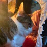 ヒメ日記 2026/02/23 11:05 投稿 紅蘭（くらん） 熟女の風俗最終章 大宮店