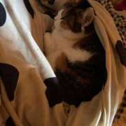 ヒメ日記 2026/03/01 10:49 投稿 紅蘭（くらん） 熟女の風俗最終章 大宮店