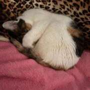 ヒメ日記 2026/04/15 17:15 投稿 紅蘭（くらん） 熟女の風俗最終章 大宮店