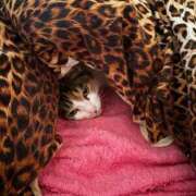 ヒメ日記 2026/04/16 13:55 投稿 紅蘭（くらん） 熟女の風俗最終章 大宮店