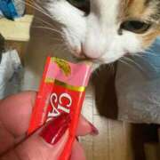 ヒメ日記 2026/04/29 12:30 投稿 紅蘭（くらん） 熟女の風俗最終章 大宮店