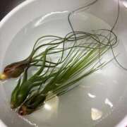 ヒメ日記 2026/09/14 16:35 投稿 紅蘭（くらん） 熟女の風俗最終章 大宮店