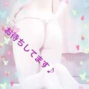 ヒメ日記 2024/12/28 00:08 投稿 優明香(ゆめか) PLUS十三店