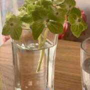 ヒメ日記 2026/04/23 11:58 投稿 優明香(ゆめか) PLUS十三店