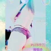 ヒメ日記 2026/05/12 00:28 投稿 優明香(ゆめか) PLUS十三店