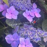 ヒメ日記 2026/07/06 16:54 投稿 優明香(ゆめか) PLUS十三店