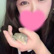 ヒメ日記 2025/08/16 22:26 投稿 れおな 吉祥寺角海老