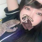 ヒメ日記 2025/09/06 17:16 投稿 れおな 吉祥寺角海老