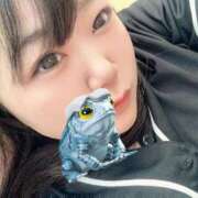 ヒメ日記 2025/10/31 12:07 投稿 れおな 吉祥寺角海老