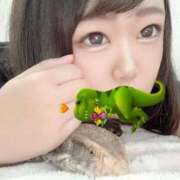 ヒメ日記 2026/01/07 11:56 投稿 れおな 吉祥寺角海老