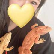 ヒメ日記 2026/04/17 12:16 投稿 れおな 吉祥寺角海老