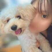 ヒメ日記 2025/10/19 18:02 投稿 蘭/らん centu STYLISH BACH