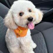 ヒメ日記 2025/10/22 16:32 投稿 蘭/らん centu STYLISH BACH