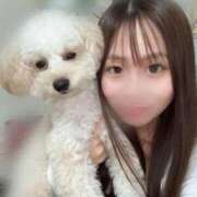 ヒメ日記 2025/10/31 16:22 投稿 蘭/らん centu STYLISH BACH