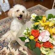 ヒメ日記 2025/11/03 13:22 投稿 蘭/らん centu STYLISH BACH