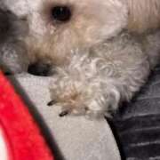 ヒメ日記 2025/11/04 21:32 投稿 蘭/らん centu STYLISH BACH