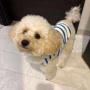 ヒメ日記 2025/12/07 14:22 投稿 蘭/らん centu STYLISH BACH