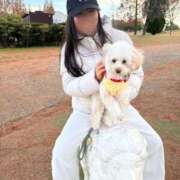 ヒメ日記 2025/12/15 17:32 投稿 蘭/らん centu STYLISH BACH