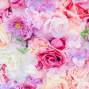 ヒメ日記 2025/06/11 22:30 投稿 ゆい［神奈川］ 奥鉄オクテツ東京店（デリヘル市場）