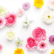 ヒメ日記 2025/06/11 22:35 投稿 ゆい［神奈川］ 奥鉄オクテツ東京店（デリヘル市場）