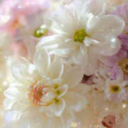 ヒメ日記 2025/10/15 06:15 投稿 ゆい［神奈川］ 奥鉄オクテツ東京店（デリヘル市場）