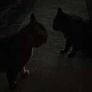 ヒメ日記 2025/06/22 20:33 投稿 すい ドマーニ