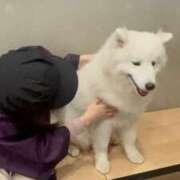 ヒメ日記 2025/07/19 12:05 投稿 かずは※現役大学生♪ きらめけ！にゃんにゃん学園in大宮