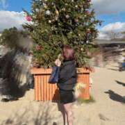 ヒメ日記 2024/12/15 22:47 投稿 とも スピード日本橋店