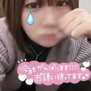 ヒメ日記 2025/04/07 18:37 投稿 とも スピード日本橋店