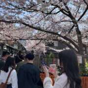 ヒメ日記 2025/04/10 22:47 投稿 とも スピード日本橋店