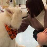 ヒメ日記 2025/07/04 19:37 投稿 とも スピード日本橋店