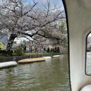 ヒメ日記 2025/04/24 10:32 投稿 さくら 青チェと赤チェ