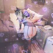 ヒメ日記 2025/07/17 02:19 投稿 はるき サンキュー福岡店