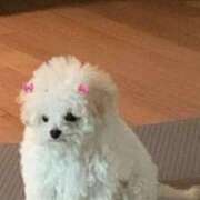 ヒメ日記 2025/01/17 15:01 投稿 ねね ドマーニ