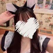 ヒメ日記 2025/11/14 21:02 投稿 ねね ドマーニ