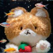 ヒメ日記 2026/01/22 16:23 投稿 ねね ドマーニ