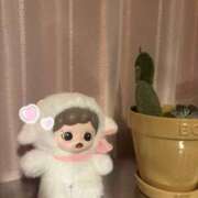 ヒメ日記 2026/02/03 21:31 投稿 ねね ドマーニ