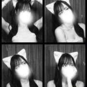 ヒメ日記 2026/03/30 09:00 投稿 ねね ドマーニ