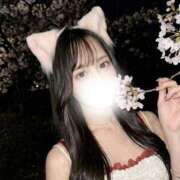 ヒメ日記 2026/04/08 12:17 投稿 ねね ドマーニ