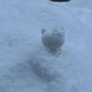 ヒメ日記 2025/02/21 21:36 投稿 あきな 沖縄素人図鑑