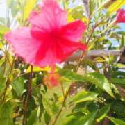 ヒメ日記 2025/06/26 19:36 投稿 あきな 沖縄素人図鑑