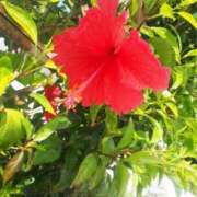 ヒメ日記 2025/06/27 19:36 投稿 あきな 沖縄素人図鑑