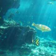 ヒメ日記 2025/06/28 23:51 投稿 あきな 沖縄素人図鑑