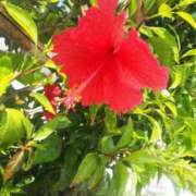 ヒメ日記 2025/07/26 19:09 投稿 あきな 沖縄素人図鑑