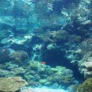 ヒメ日記 2025/07/28 19:33 投稿 あきな 沖縄素人図鑑