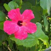 ヒメ日記 2025/08/26 20:27 投稿 あきな 沖縄素人図鑑