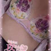 ヒメ日記 2024/12/07 09:08 投稿 横山かなめ 聖リッチ女学園