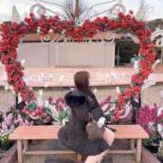 ヒメ日記 2025/04/02 06:18 投稿 横山かなめ 聖リッチ女学園